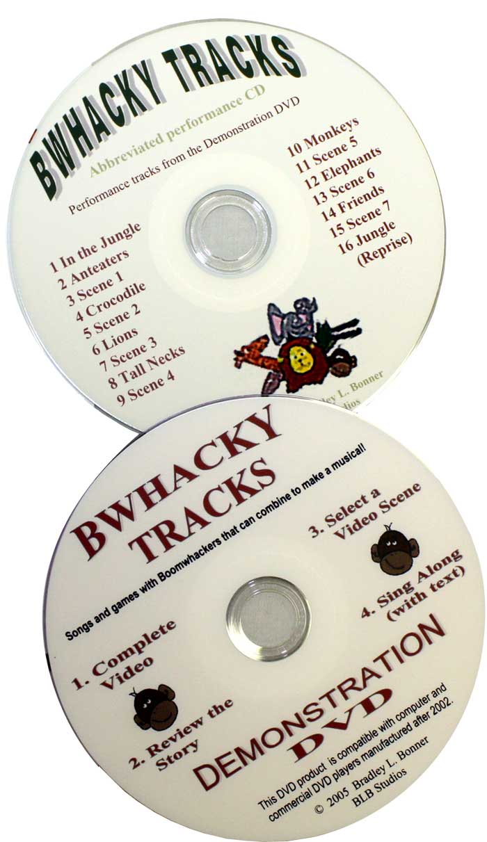 Boomwhackers Bwhacky Tracks DVD dimostrativo scuola