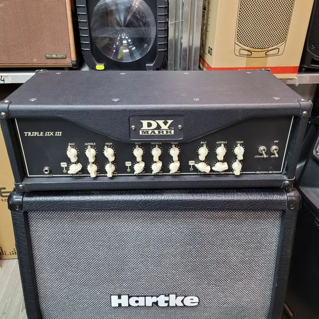 DV Mark Triple Six III Testata chitarra 120W usata