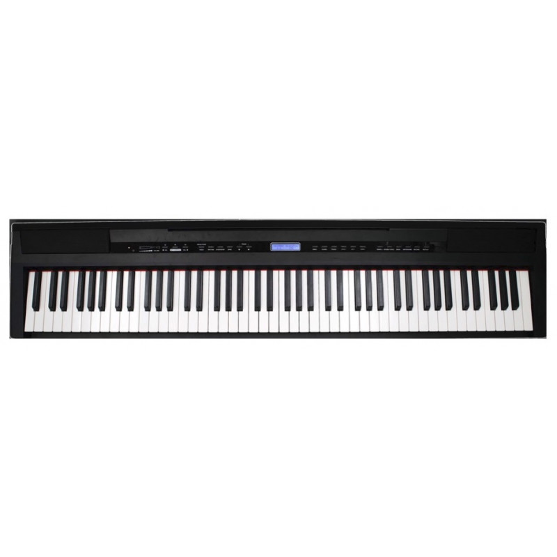 Echord DP1 pianoforte digitale 88 tasti pesati con supporto