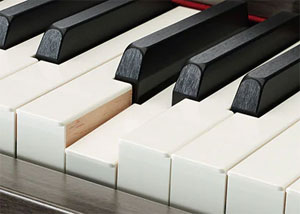 Yamaha Clavinova CVP909PE Piano Nero Lucido