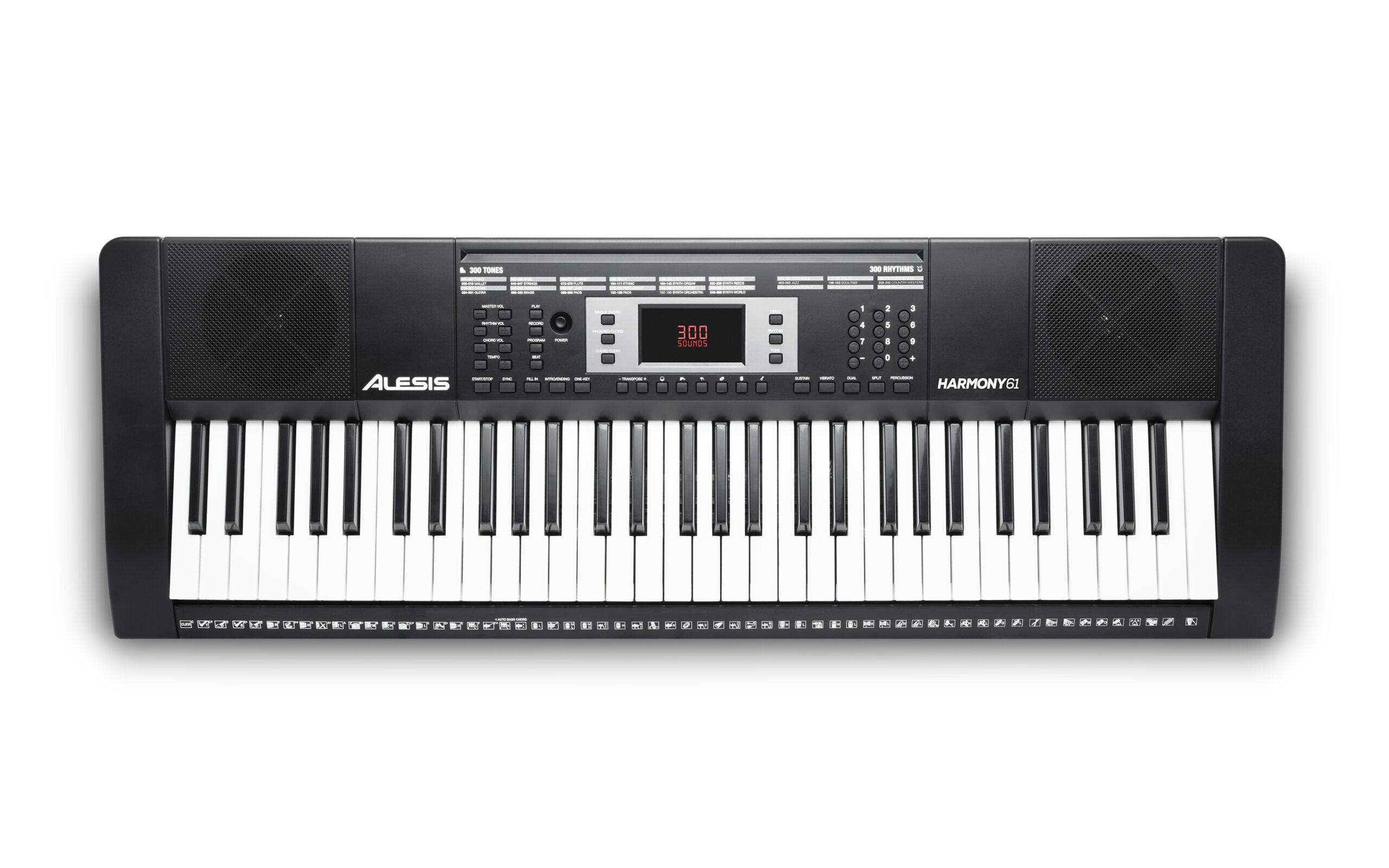 Alesis Harmony 61 MKII tastiera 61 tasti con stand e panca