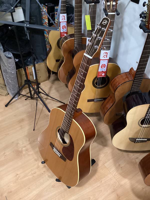 Seagull Coastline S6 GT chitarra acustica cedro usata