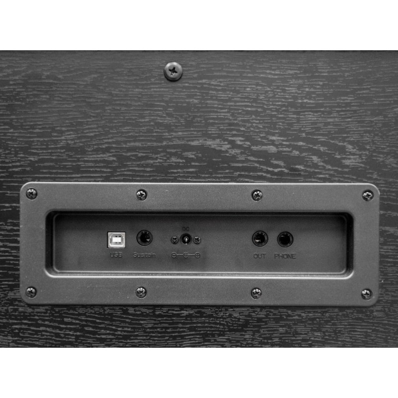 Echord DPX100 pianoforte digitale 88 tasti nero