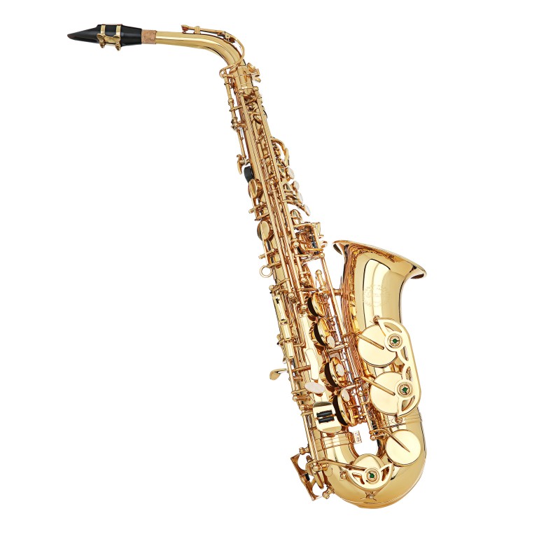 Grassi SAL700 amplificatore compatto per fiati