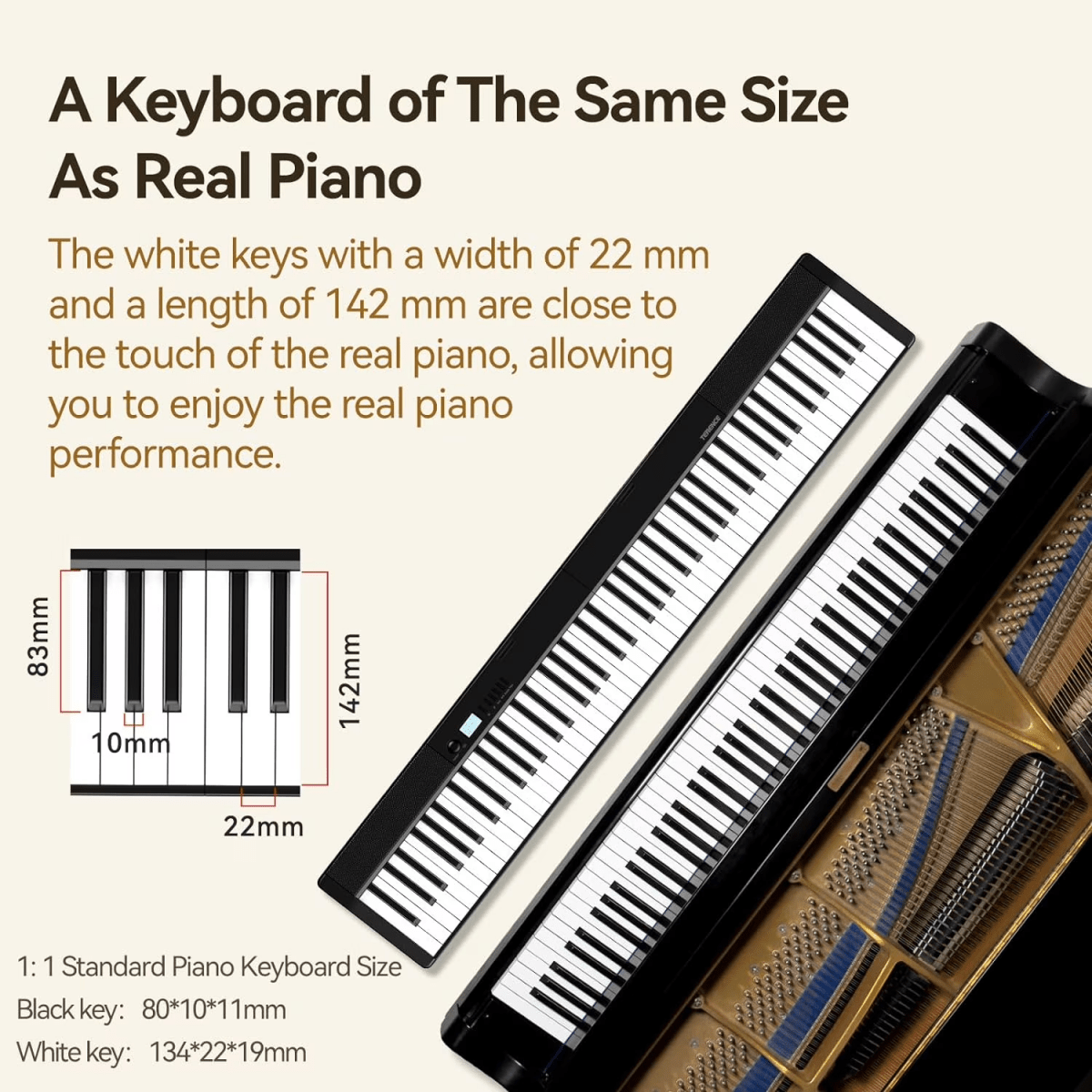 Terence V30 Piano Pieghevole 88 Tasti Pesati Nero