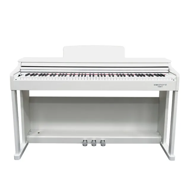 Echord DPX100 White pianoforte digitale 88 tasti bianco
