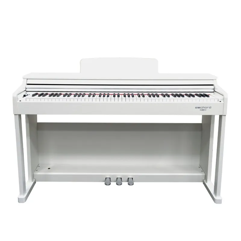 Echord DPX100 White pianoforte digitale 88 tasti bianco