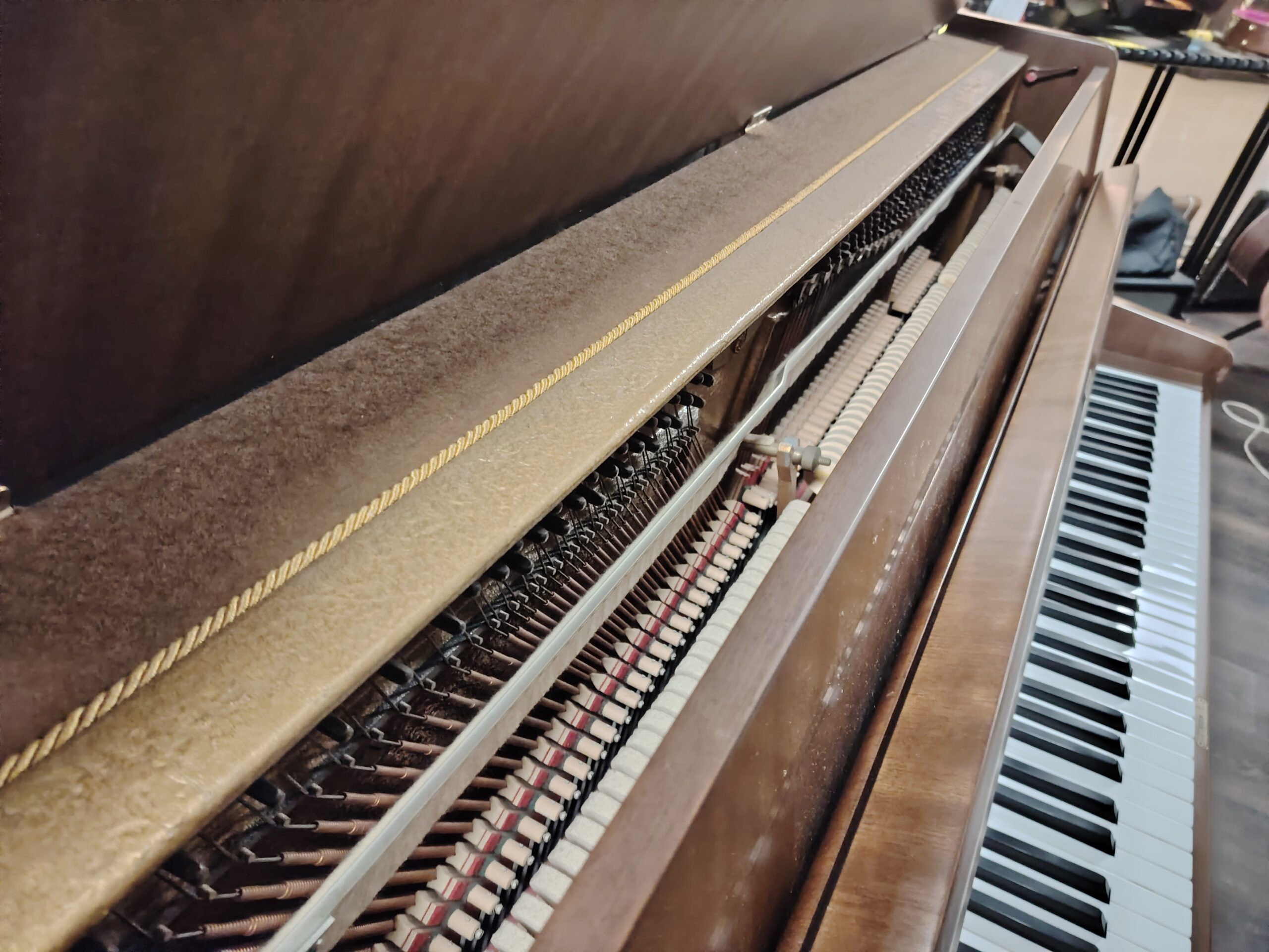 Farfisa TP TP11 pianoforte verticale revisionato per studio