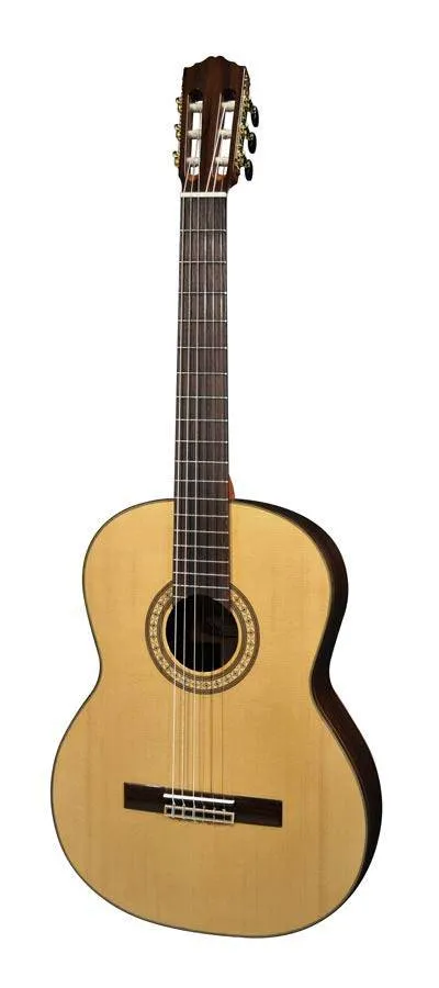 Salvador Cortez CS-60 Chitarra classica Abete Palissandro