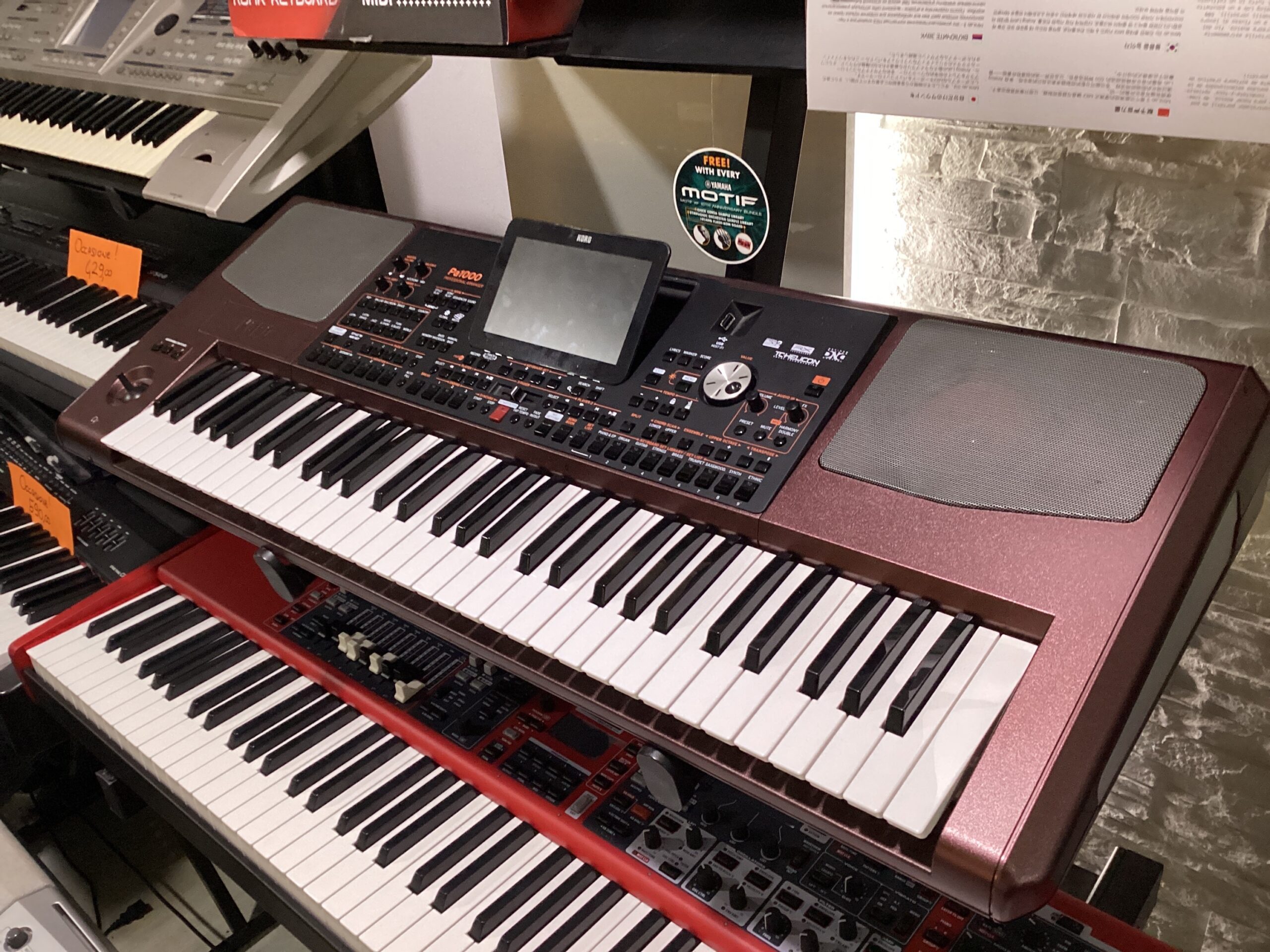 Korg Pa1000 Tastiera Arranger 61 Tasti dinamici
