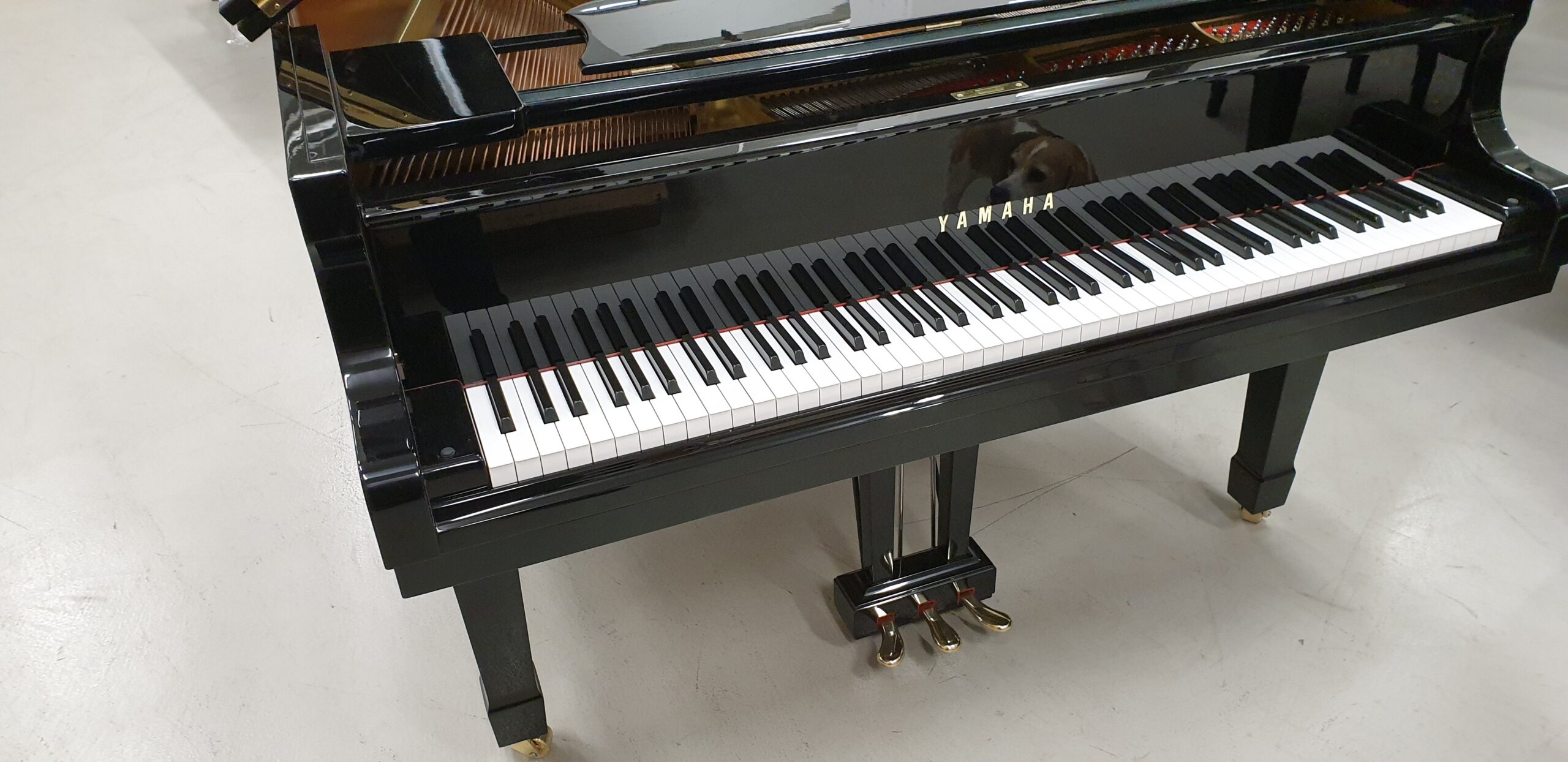 Yamaha G1 pianoforte a coda codino occasione usato