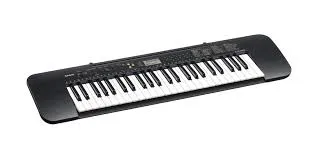 Casio CTK-240 tastiera portatile 49 tasti 100 suoni