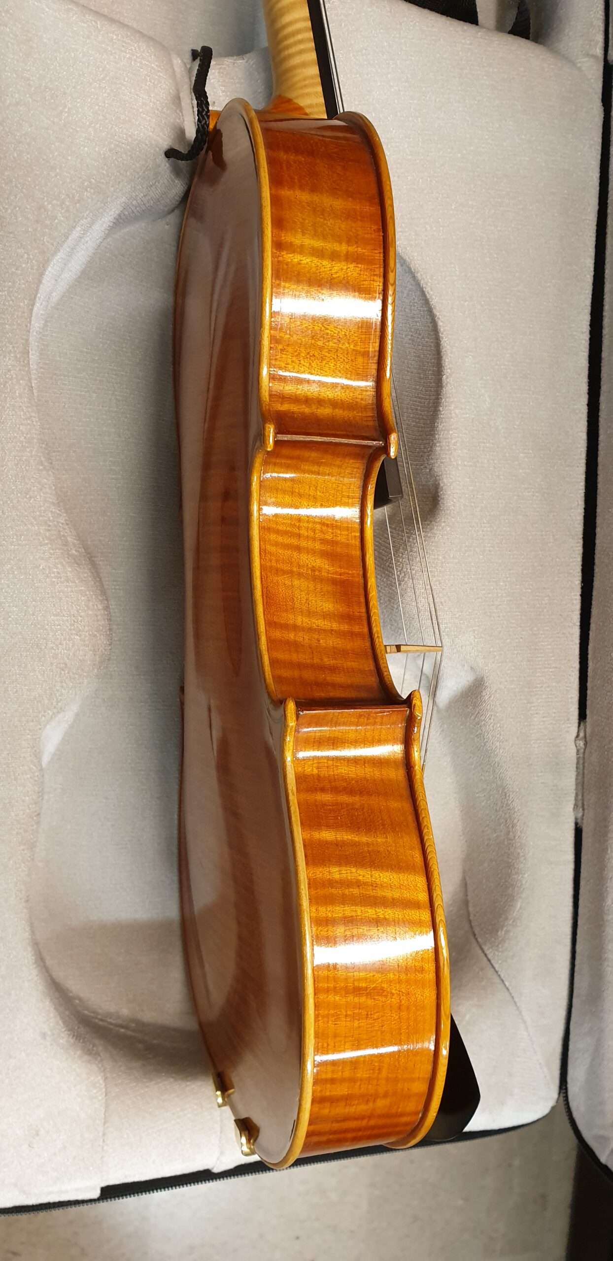 Tauscher Viola archi liuteria in legno per orchestra