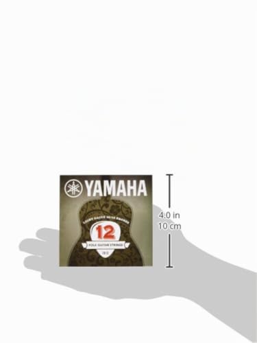 Yamaha FB 12 corde chitarra acustica bronzo super leggere