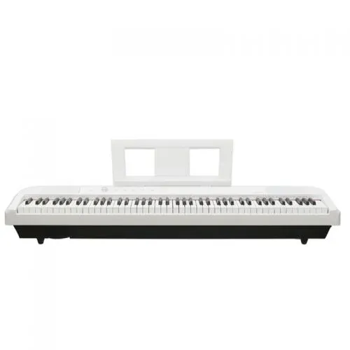 Echord DP1 pianoforte digitale 88 tasti pesati nero