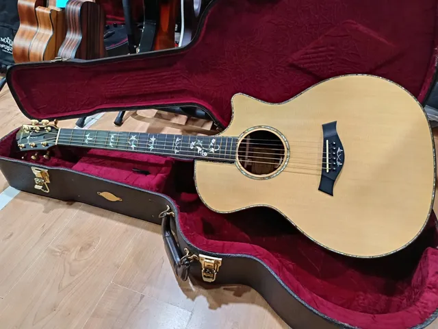 Taylor 914ce Chitarra Acustica Elettrica Usata Palissandro