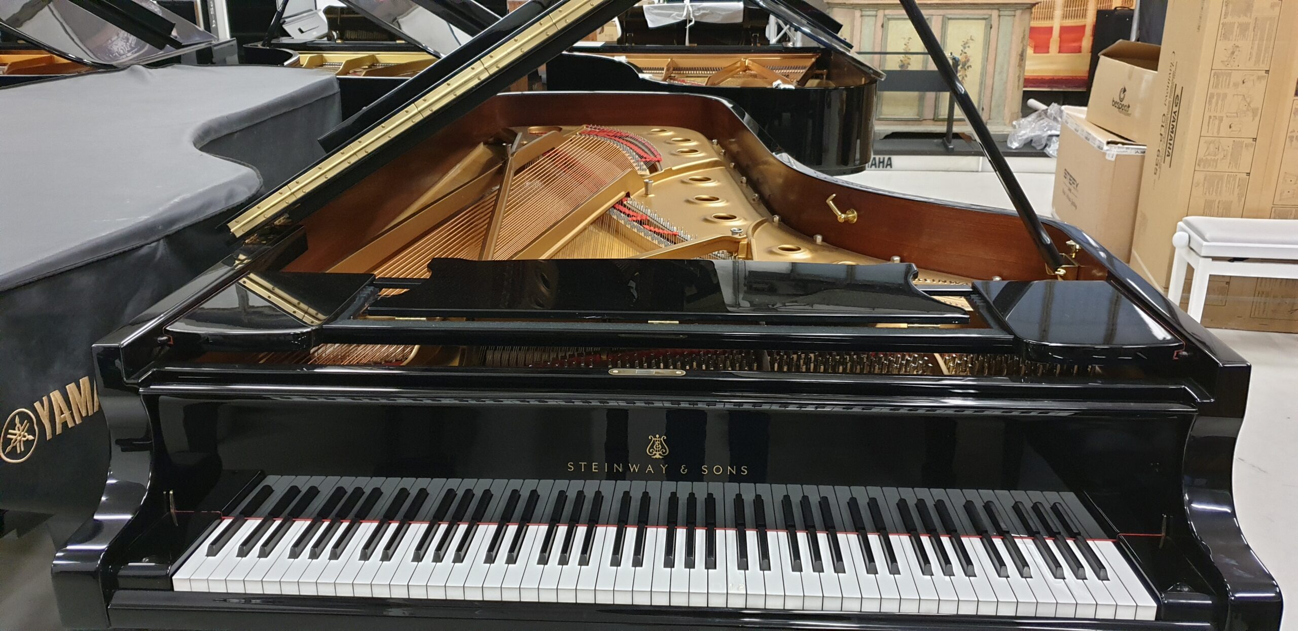 Steinway D-274 Pianoforte a Coda Gran Coda Concerto 274 cm