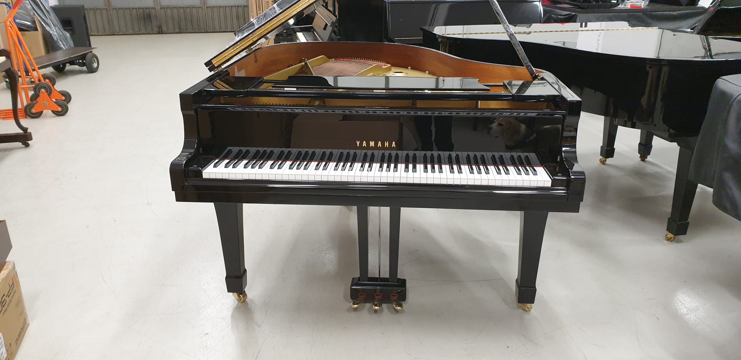 Yamaha G1 pianoforte a coda codino occasione usato