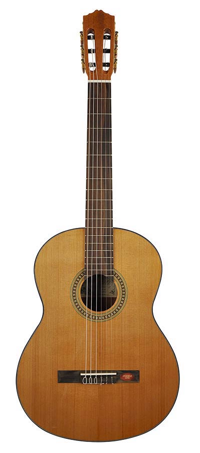 Salvador Cortez CC-10 chitarra classica 4/4 cedro principianti