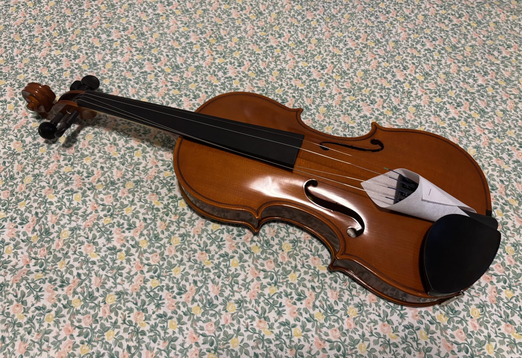 Yamaha V3SKA violino acustico 1/2 marrone con set