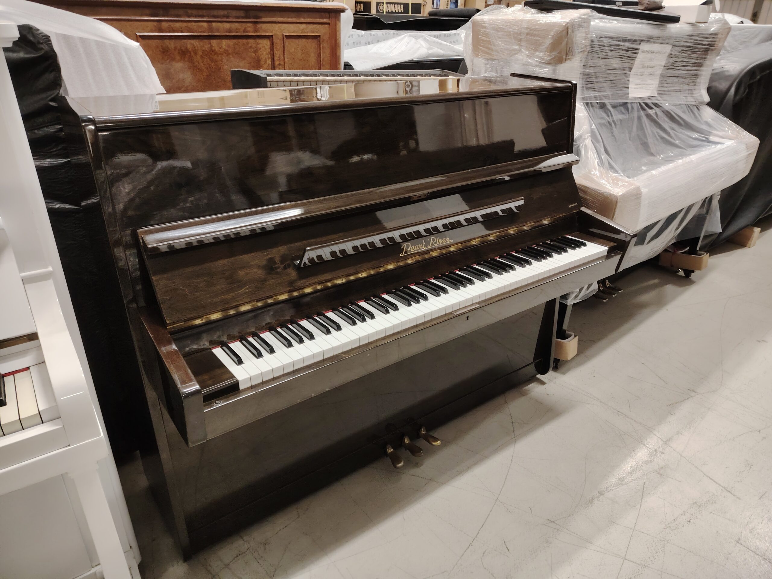 Pearl River 110 Pianoforte Verticale Noce Lucido
