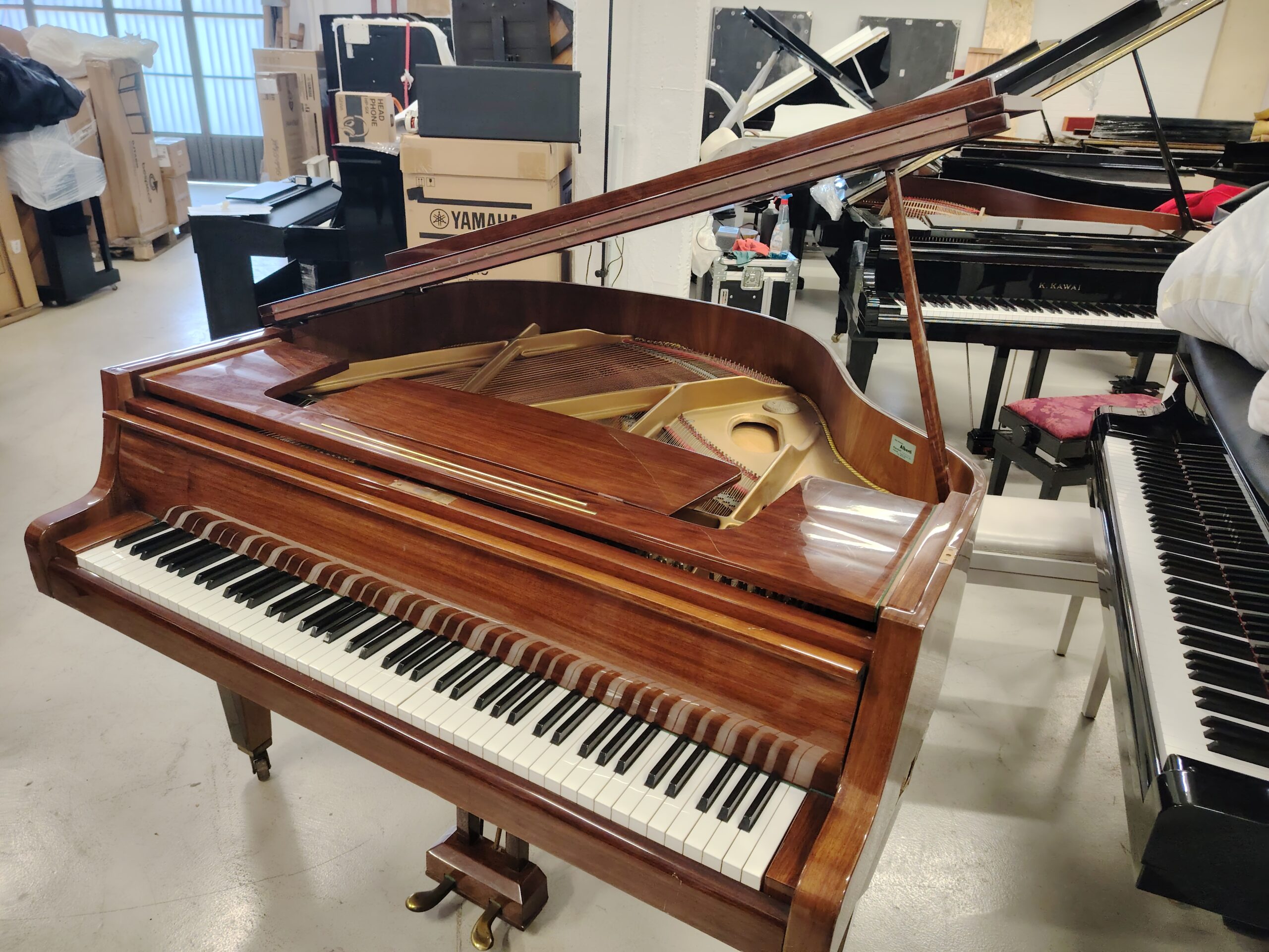 Gebr. Niendorf Codino pianoforte a coda Noce occasione