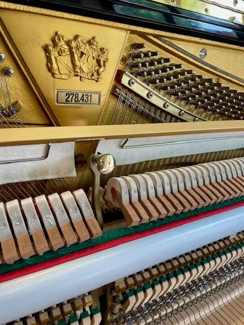 Schimmel C130 Tradition pianoforte verticale usato tedesco
