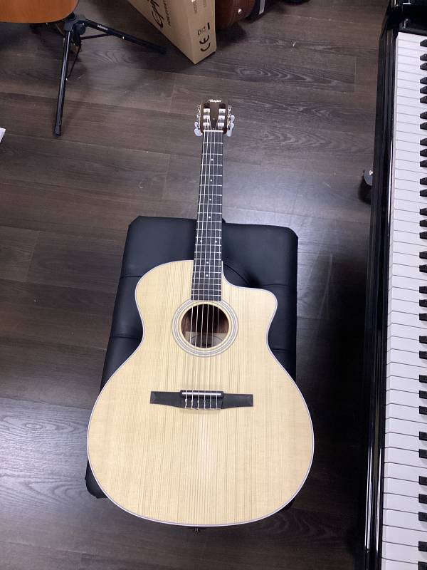 Taylor 214ce-N Chitarra Classica Usata con Cutaway