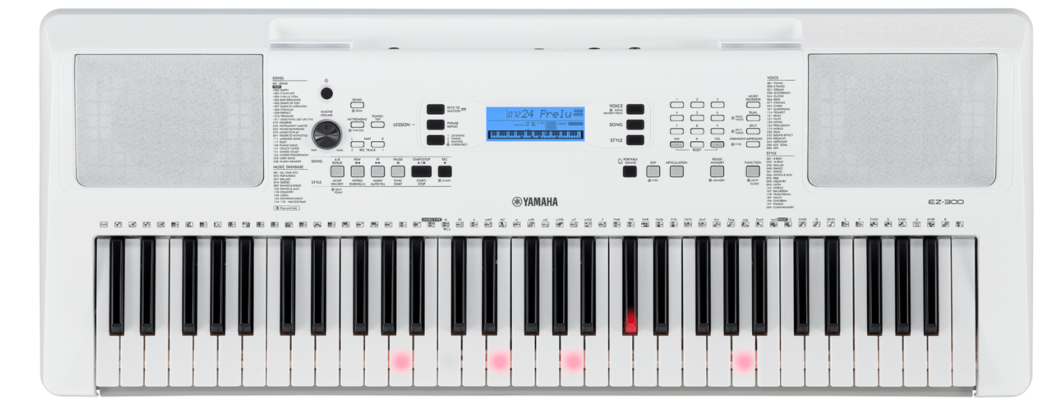 Yamaha EZ-300 tastiera luminosa 61 tasti touch