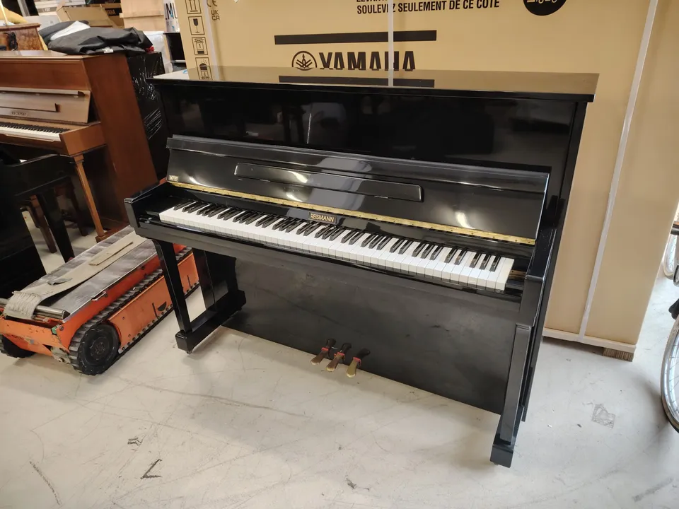 Reismann Studio 113 pianoforte verticale acustico studio