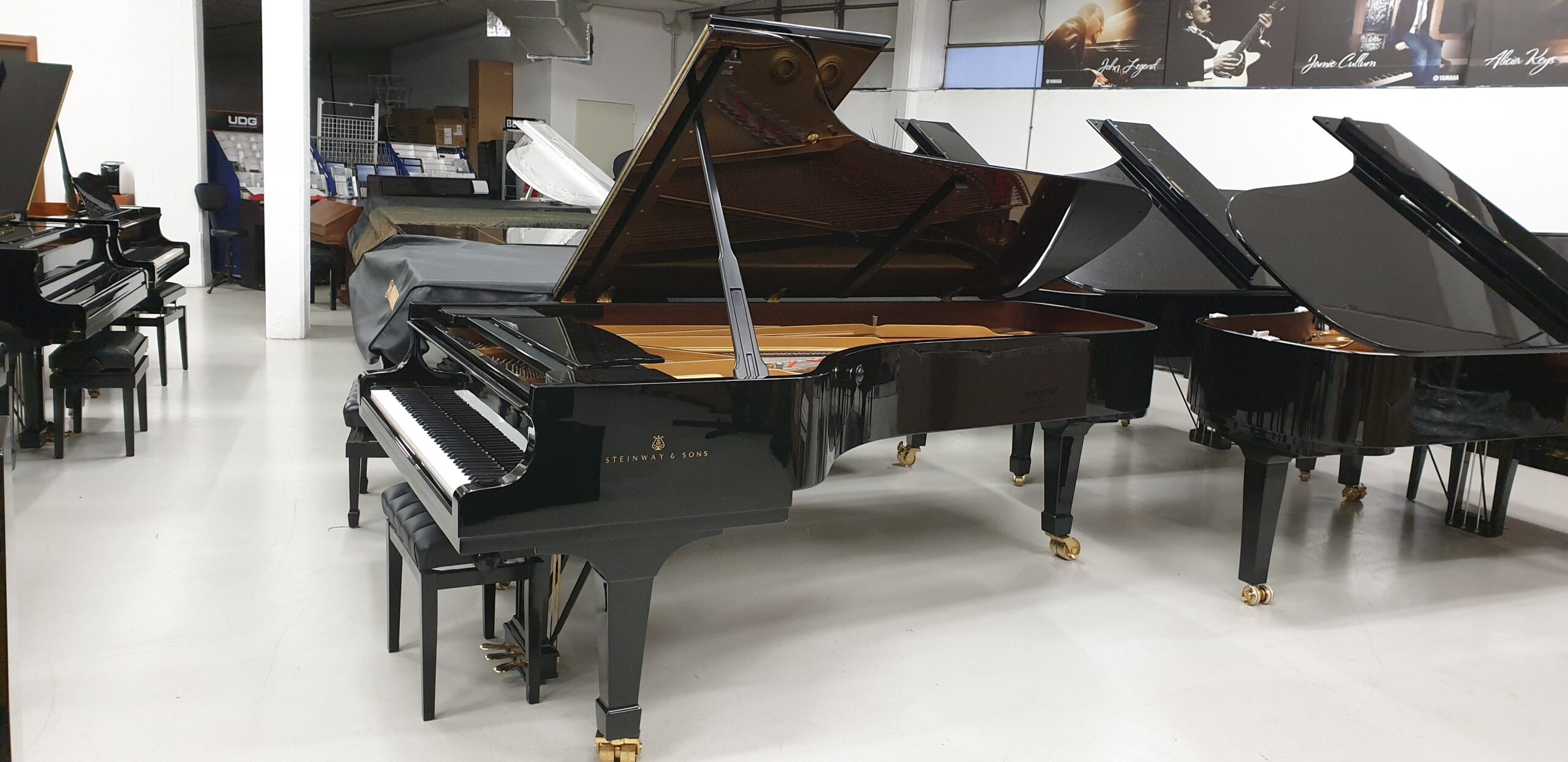 Steinway D-274 Pianoforte a Coda Gran Coda Concerto 274 cm