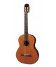 Salvador Cortez CC32 chitarra classica cedro massello 650mm