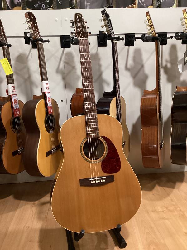Seagull Coastline S6 GT chitarra acustica cedro usata
