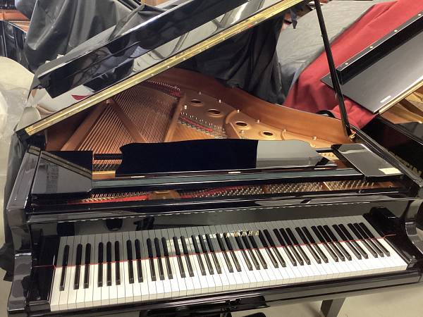 Yamaha GC1 pianoforte a coda Silent Usato