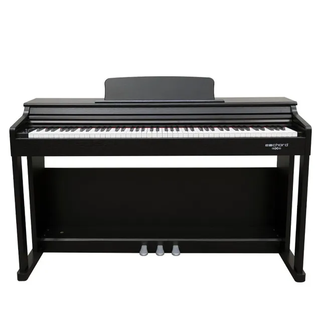 Echord DPX100 pianoforte digitale 88 tasti nero