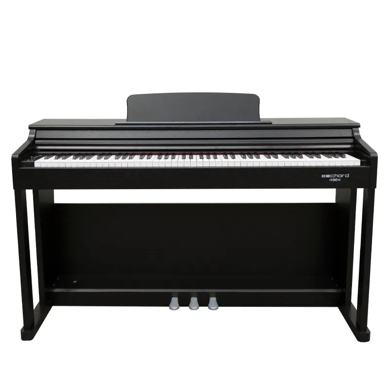 Echord DPX100 pianoforte digitale 88 tasti nero