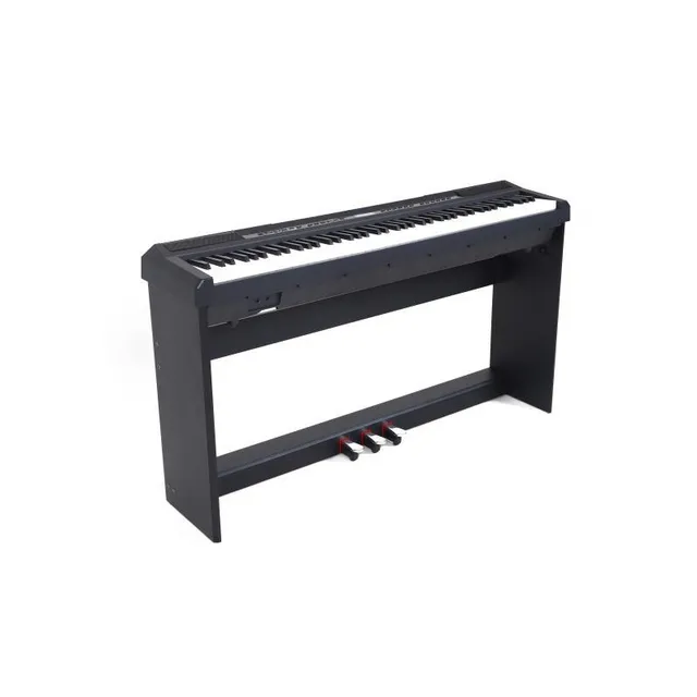 Echord DP1 pianoforte digitale 88 tasti pesati con supporto