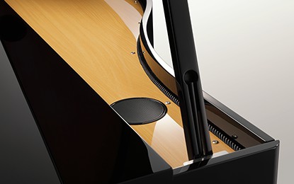 Kawai DG30 pianoforte digitale codino ebano