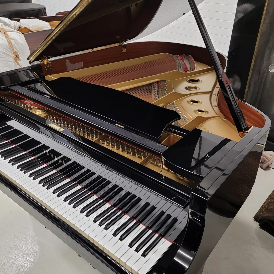 Yamaha C3 Pianoforte a Coda Nero Lucido Occasione Usato