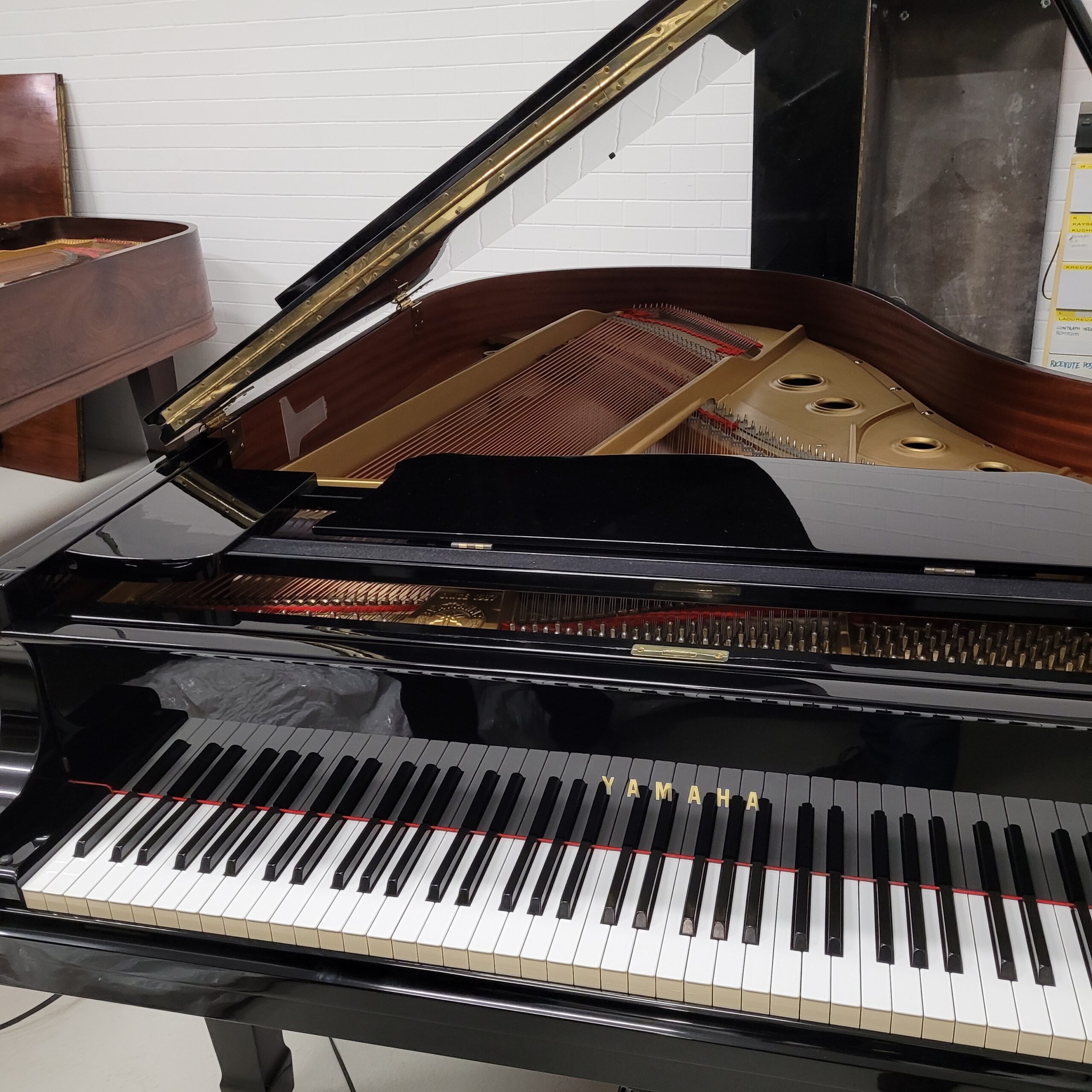 Yamaha C3 Pianoforte a Coda Nero Lucido Occasione Usato
