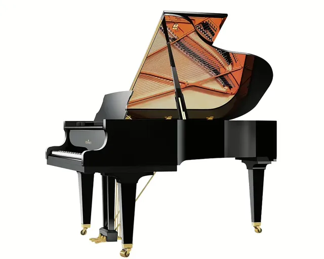 Schimmel 189 pianoforte a coda silent 189 cm Konzert