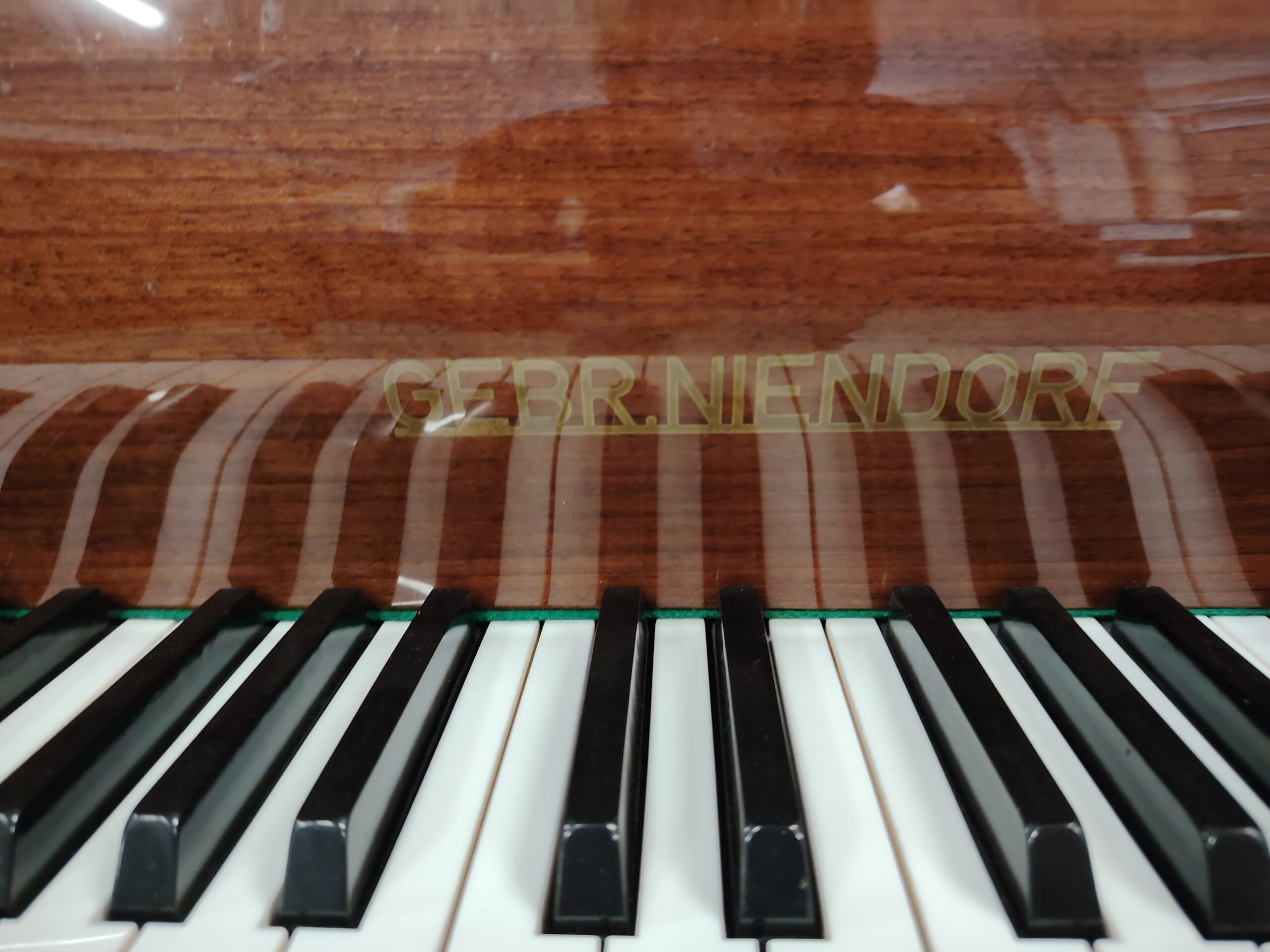 Gebr. Niendorf Codino pianoforte a coda Noce occasione