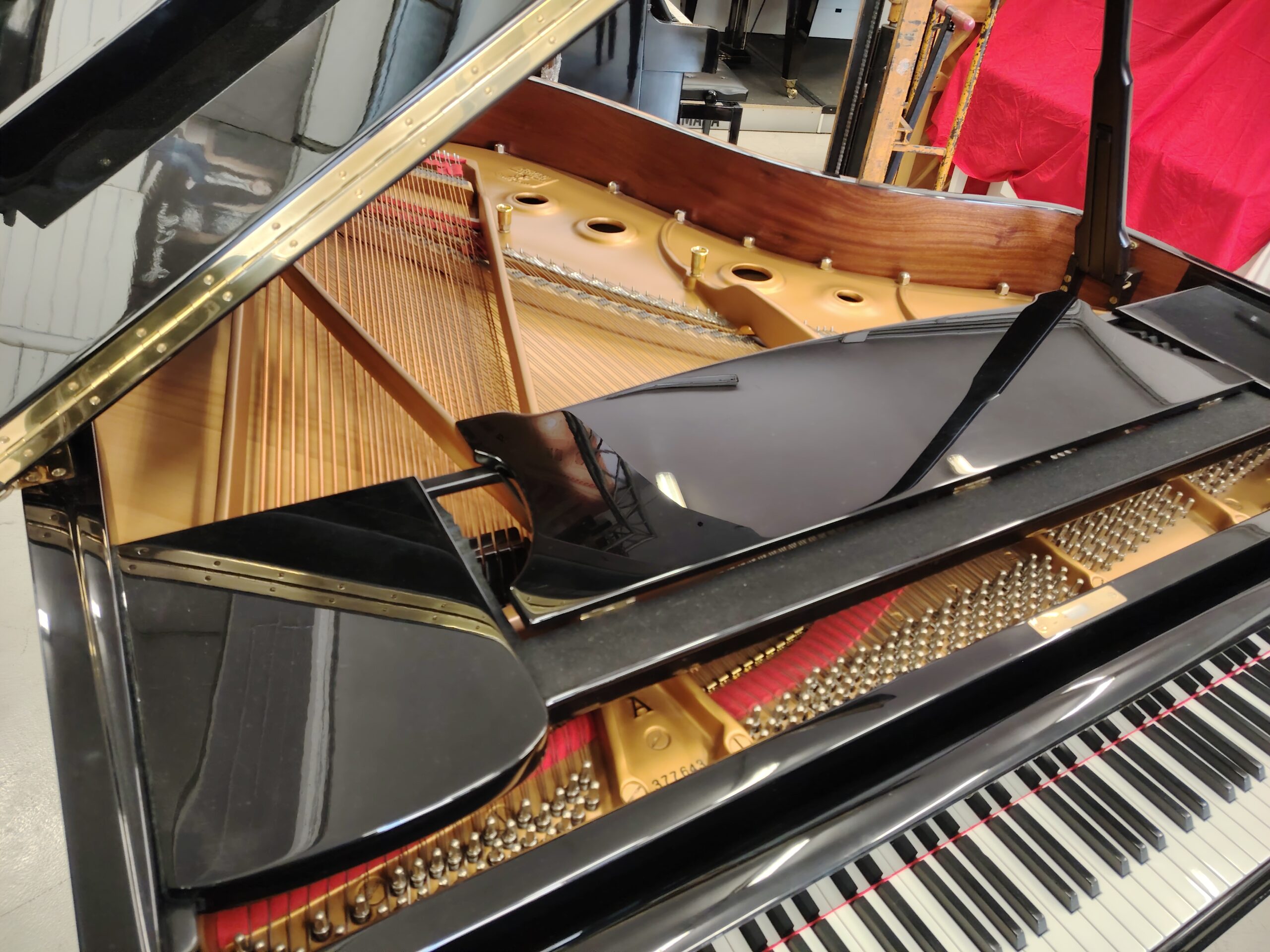 Steinway & Sons A188 pianoforte coda occasione 188 cm