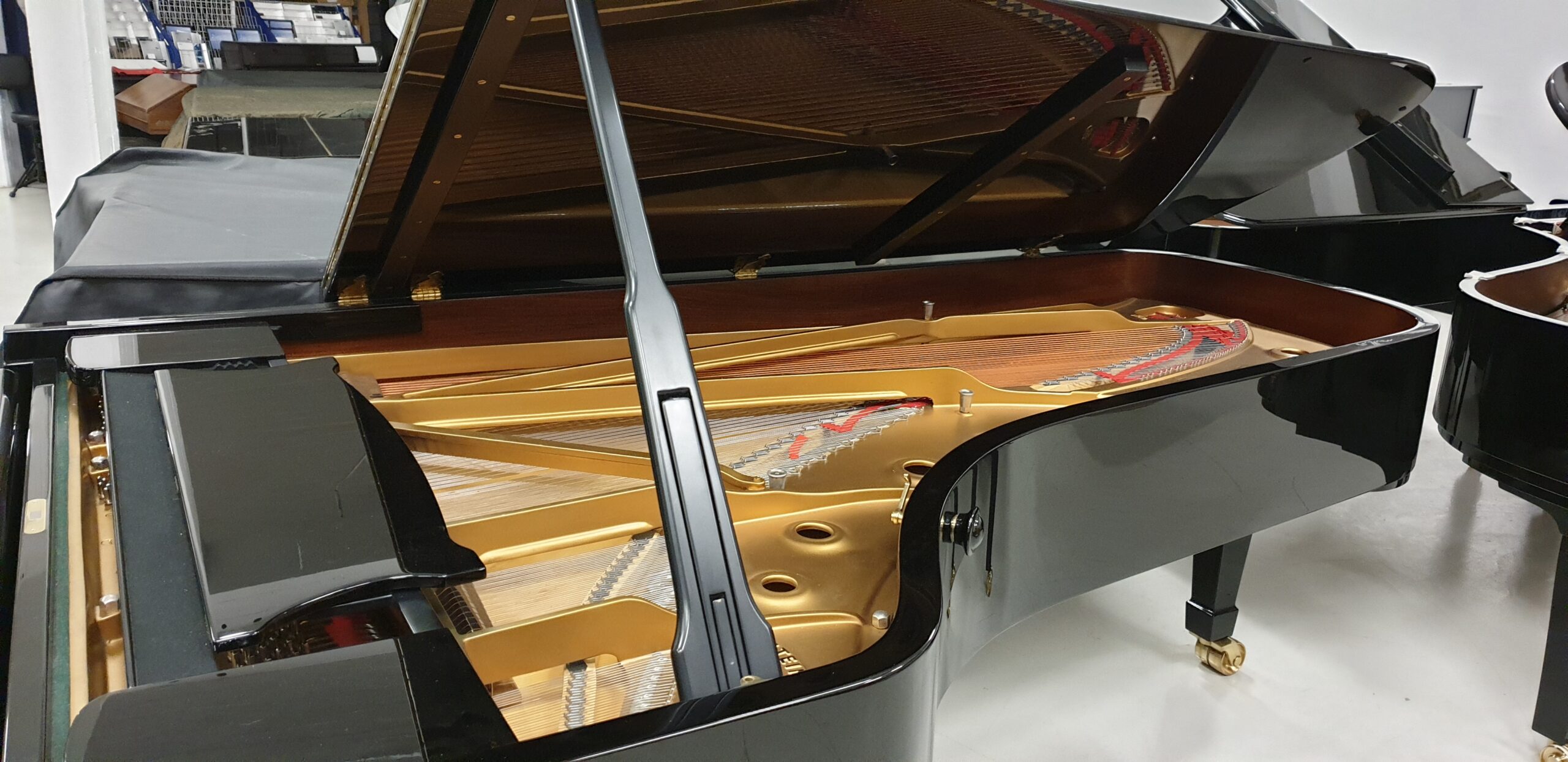 Steinway D-274 Pianoforte a Coda Gran Coda Concerto 274 cm