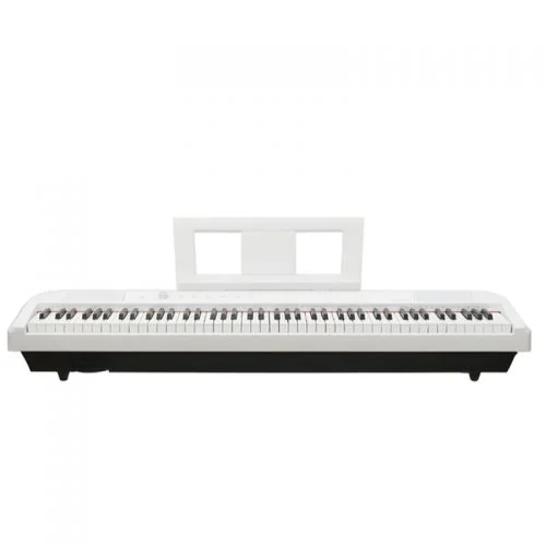 Echord DP1 pianoforte digitale 88 tasti pesati nero