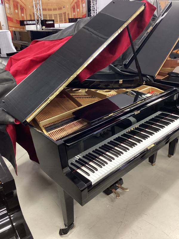 Yamaha G G1 pianoforte a coda usato 161 cm brillante