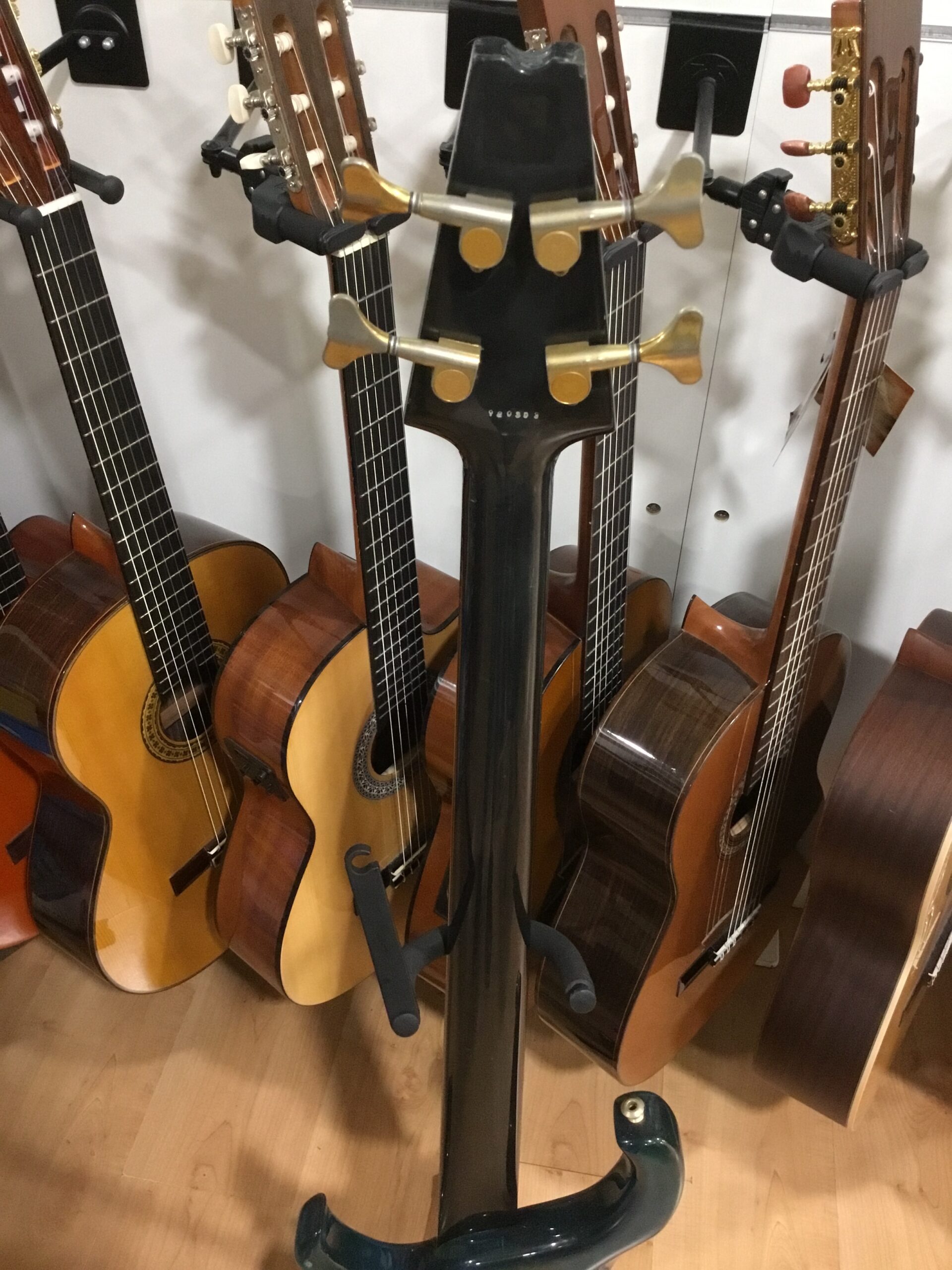 Modulus Graphite Quantum TBX basso elettrico occasione carbonio