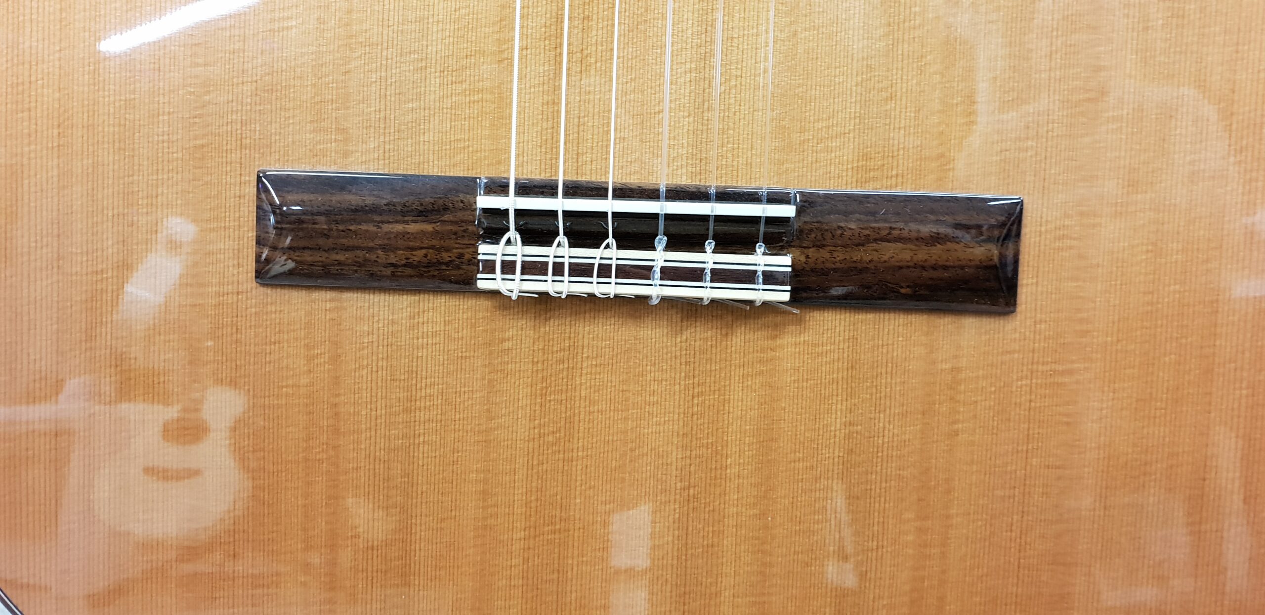 Alhambra 3C Chitarra Classica con Custodia