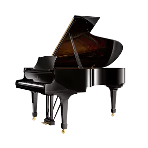 Steinway B 211 pianoforte a coda 211 cm abete Sitka