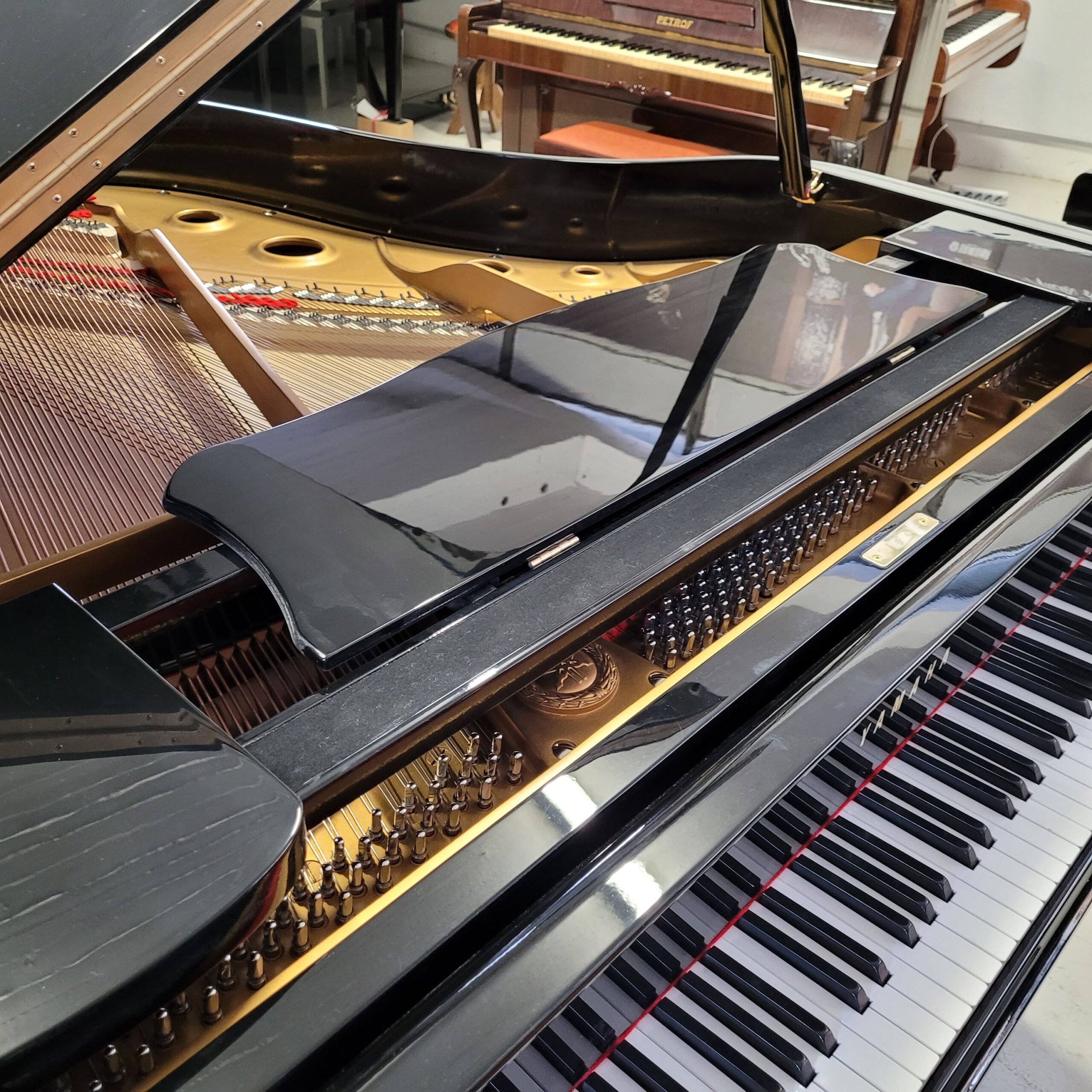 Yamaha G2 Pianoforte a Coda Occasione Acustico